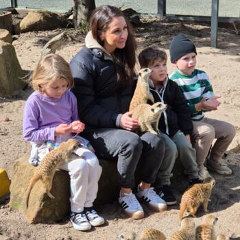 Babysitting job in Sunshine Coast: babysitting job Will