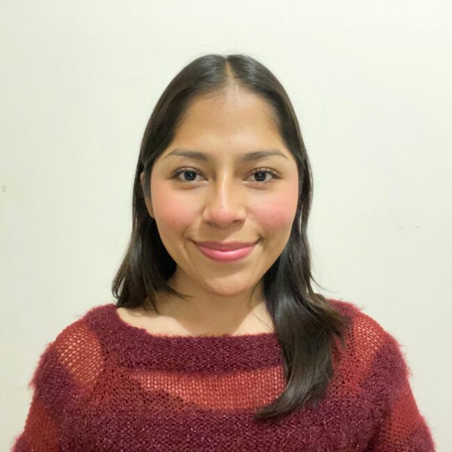 Babysitter in Santa Catarina: Chelsey