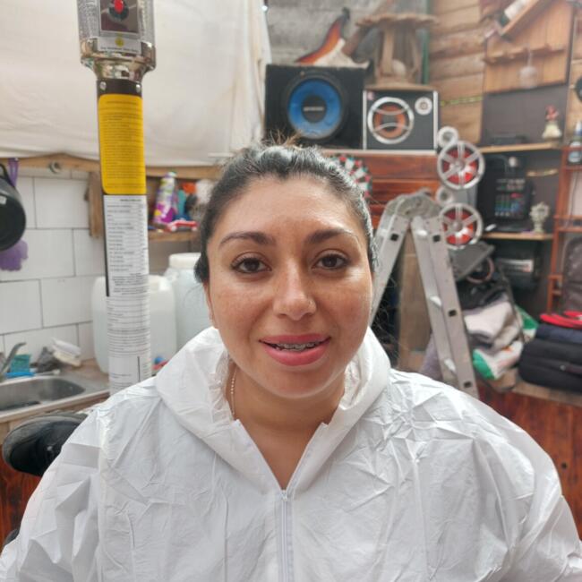 Babysitting job in La Serena: Liz