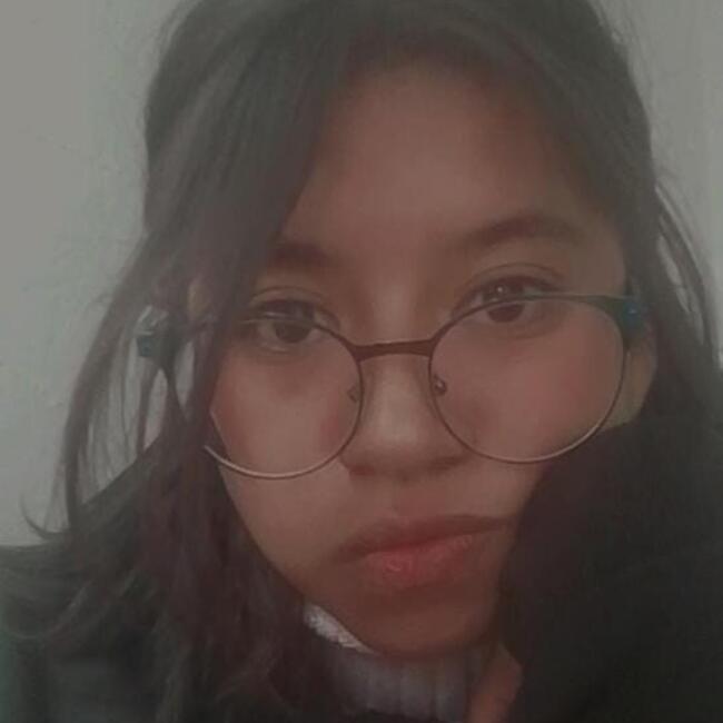 Babysitter in Puebla City: Natalia Palacios