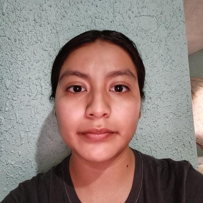 Babysitter in Gustavo Adolfo Madero: Karina