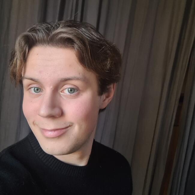 Babysitter in Saint-Leu-la-Forêt: Victor