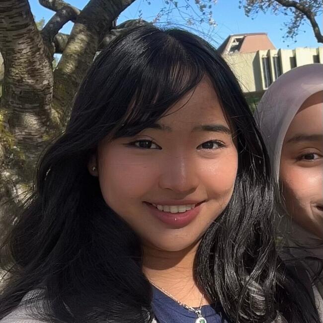 Babysitter in Christchurch: Pla