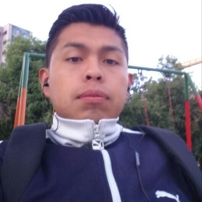 Babysitting job in La Paz: Ivan