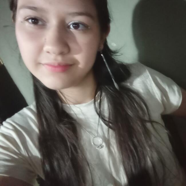 Babysitter in Mariano Roque Alonso: Alicia