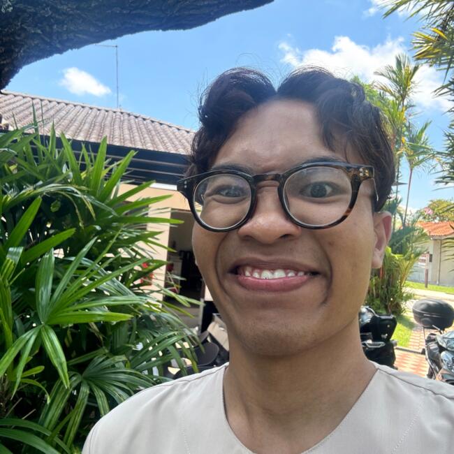 位于新加坡的临时保姆: Irfan