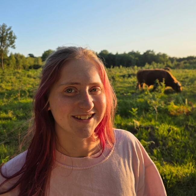 Babysitter in Fleet: Sapphire