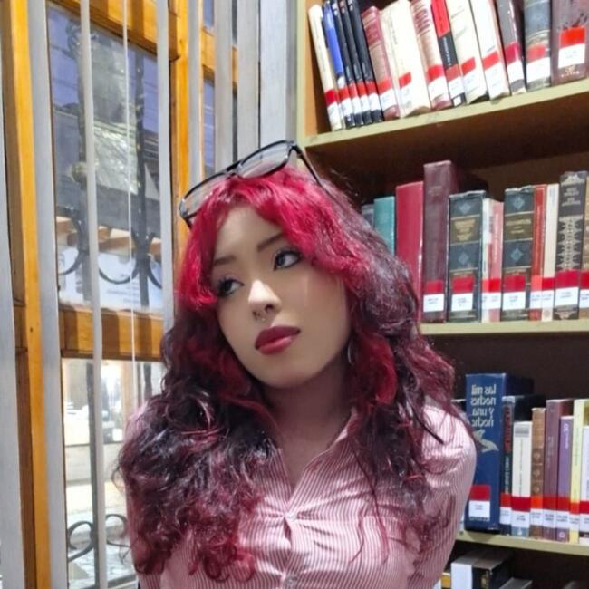 Babysitter in La Ceja: Stefa