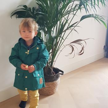 Oppaswerk Driehuis (Noord-Holland): oppasadres Alice