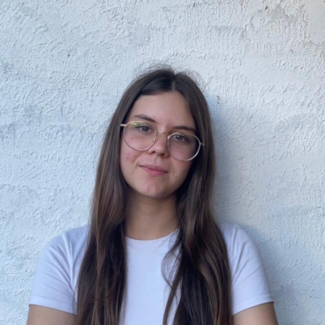 Babysitter in Requeixo (Distrito de Aveiro): Lara