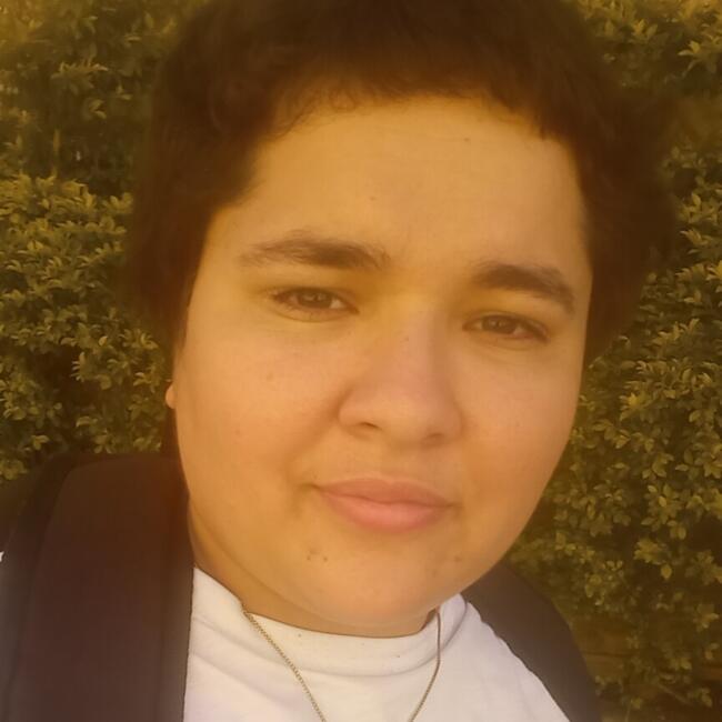 Babysitter in Conselheiro Lafaiete: Carla