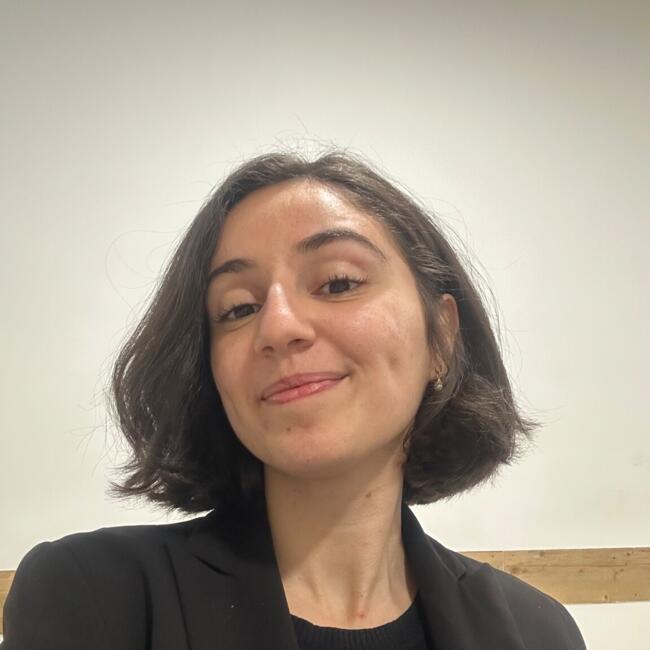 Babysitter in Montpellier: Anais