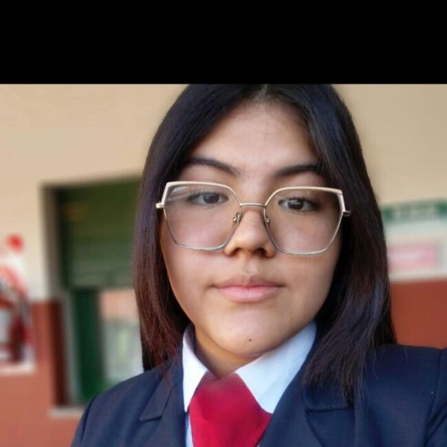 Babysitter in Palpalá: Aylen