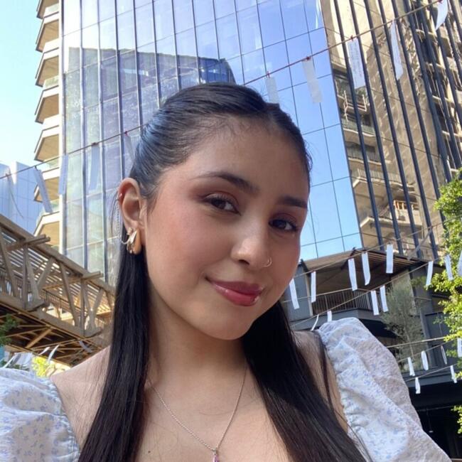 Niñera en Santiago de Chile: Paula