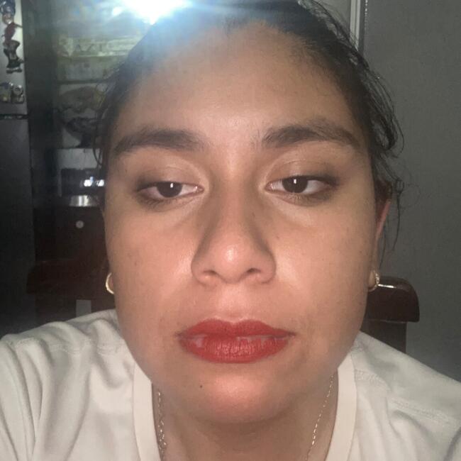 Babysitting job in San Luis Potosí City: Alondra