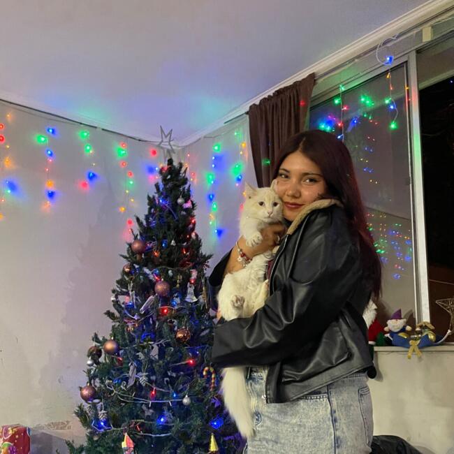 Niñera en Copiapó: Alyne