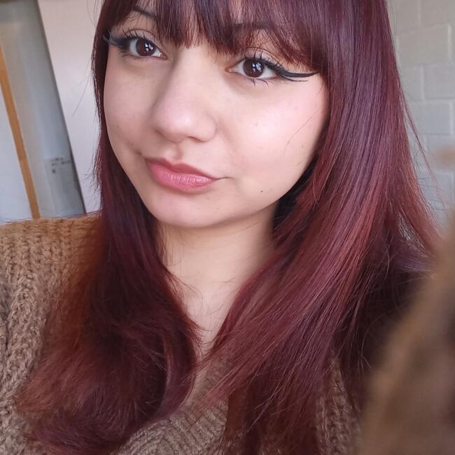 Babysitting job in Viña del Mar: Alejandra