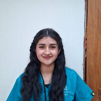 Babysitter in Concepción: Katalina
