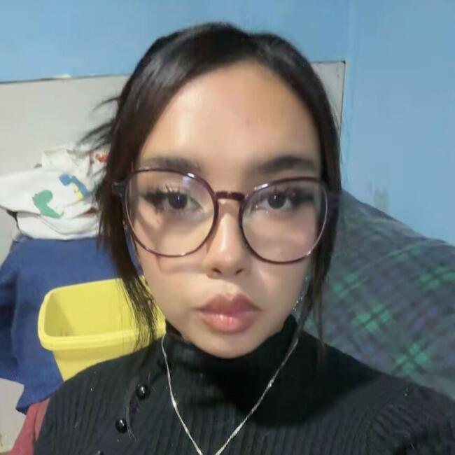 Babysitter in Santiago: Alison