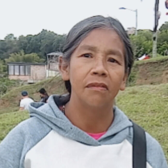 Niñera en Popayán: ANA