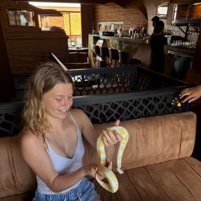 Babysitter in Whangarei: Isobella