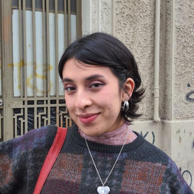 Niñera en Santiago de Chile: Camila Atabales