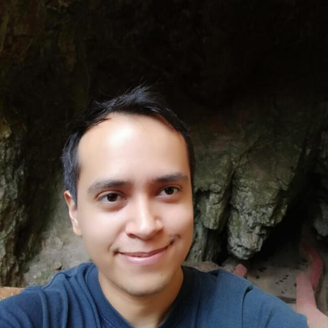 Trabajo para niñera en Puerto Morelos: Luis Felipe