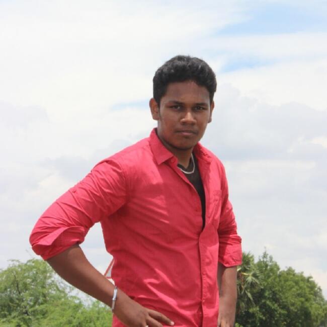 Rajakilpakkam में बेबीसिटिंग की नौकरी: Sahubar