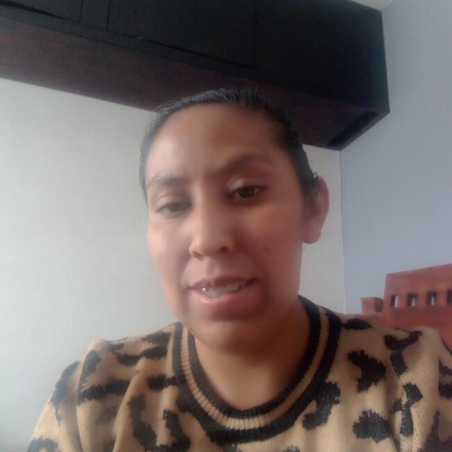 Babysitter in El Sitio (Villa Victoria): Sonia