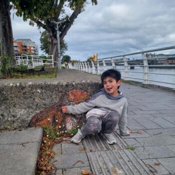 Trabalho de babysitting em Luimneach: Trabalho de babysitting Daniel