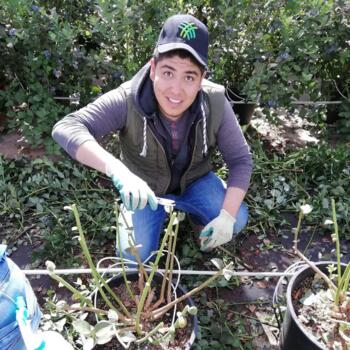 Babysitting job in Tepatitlán de Morelos: babysitting job Cesar Israel