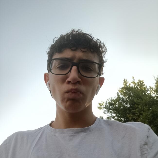 Babysitter in Pollionnay: Rémi