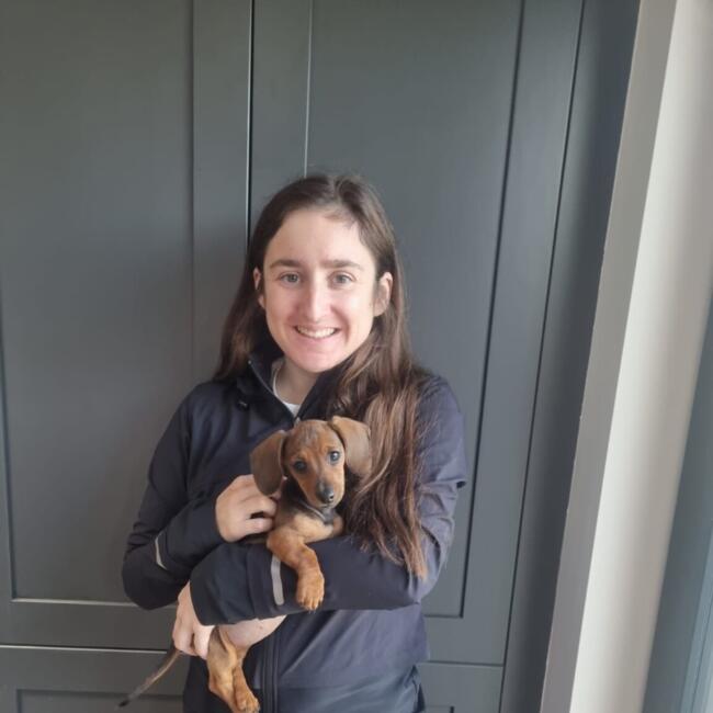 Babysitter in Dún Laoghaire: Emma