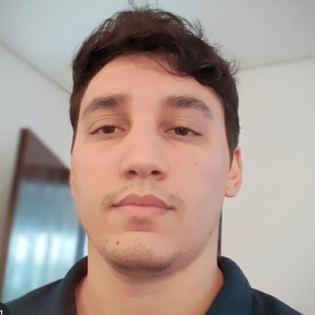 Babysitting job in Brasília: Emerson