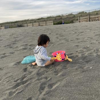 Babysitting job in Fujisawa (足柄上郡): babysitting job Aki