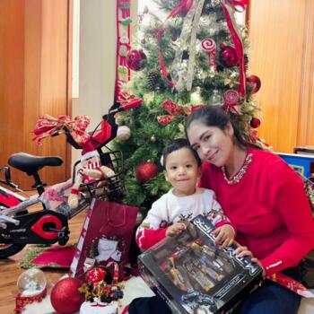 Babysitting job in El Tambo (Departamento de Junín): babysitting job Sheyla