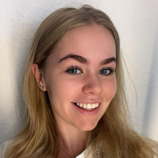 Babysitter in Vienna: Kashira