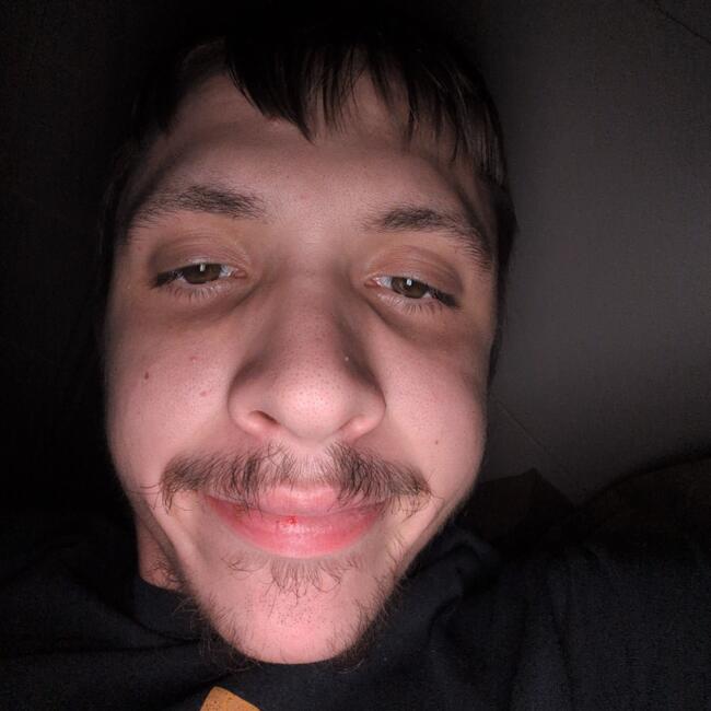 Babysitter in Homestead (Pennsylvania): Gabe