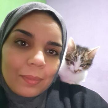 Parent Rabat: Essabri