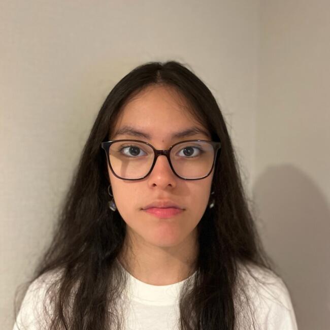 Babysitter in Sant Adrià de Besòs: Paula