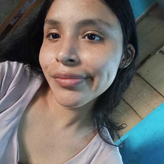 Babysitter στην περιοχή Λίμα: Aracely