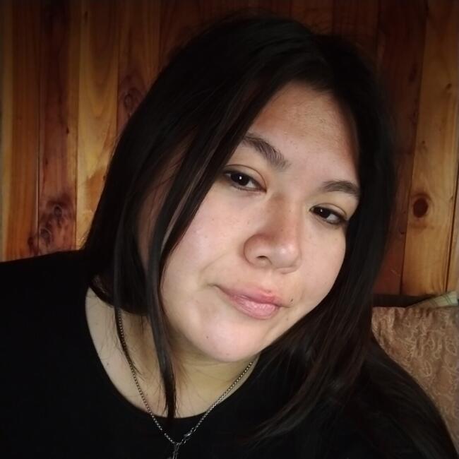 Babysitter in Osorno: Diana anyelina