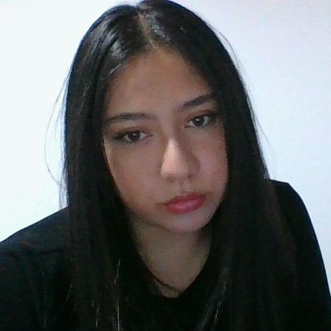 Babysitter in La Serena: Francisca