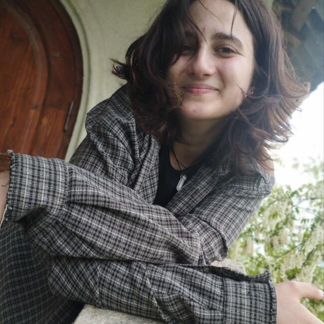 Babysitter in Chișinău: Ștefîrță