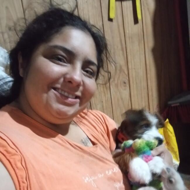 Babysitter in São Ludgero: Emanoela