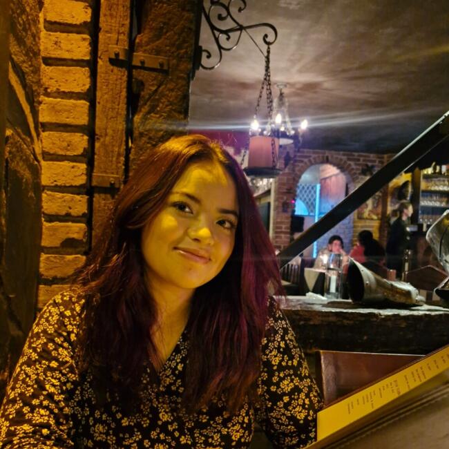 Babysitter in Pinhais: Thalita