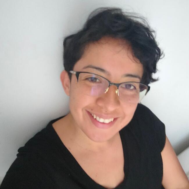 Niñera en Piedecuesta: Nanis