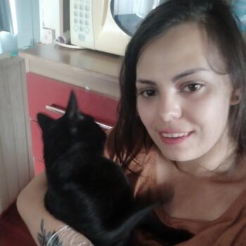 Babysitter in Toledo: Sidineia