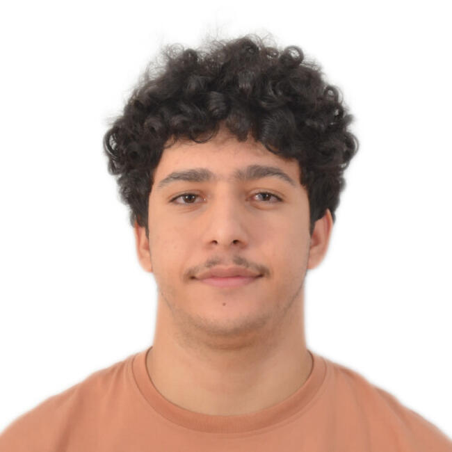 Baby-sitter à Grenoble: Abderrahim