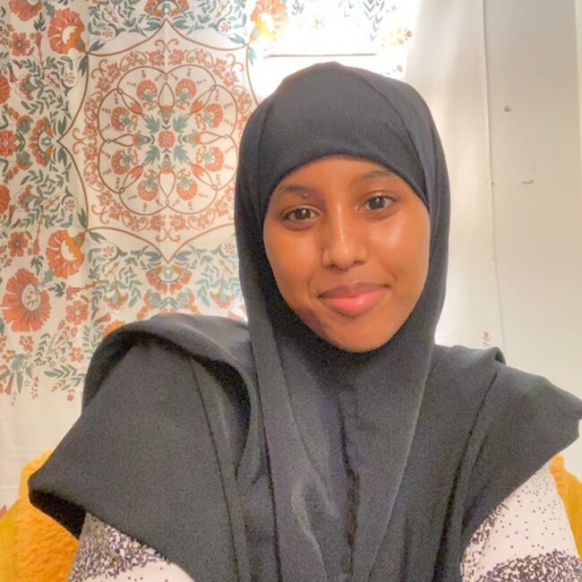 Babysitter in Anchorage: Nasteho